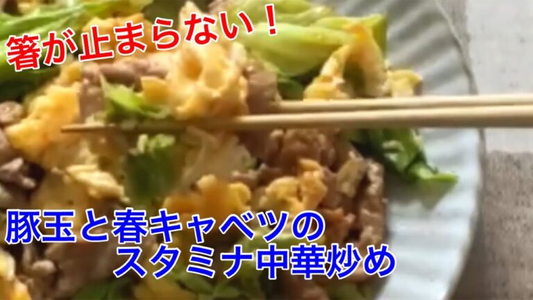 箸が止まらない❗️豚玉と春キャベツのスタミナ中華炒め【節約ごはん おうちごはん おかず 料理 レシピ 簡単レシピ 今日のごはん 作り置き】