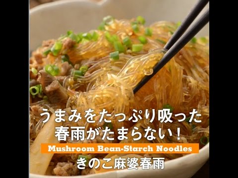 うまみをたっぷり吸った春雨がたまらない！　きのこ麻婆春雨