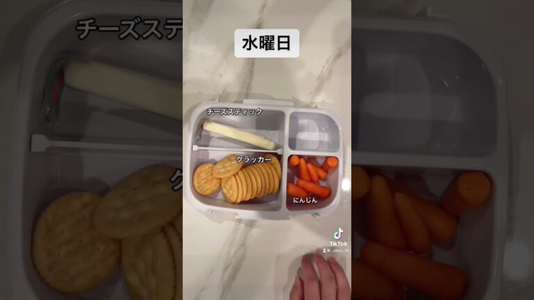 【衝撃】これがアメリカ人のお弁当！アメリカでよく見る定番のお弁当1週間分を再現★ 〜小学生編〜ランチャブルが気になる方はコメント欄のリンクをチェックしてね😋