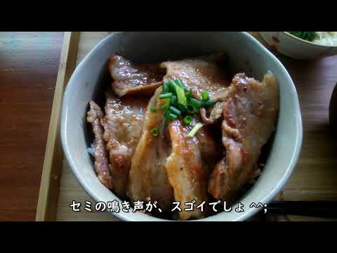 ひとりだけどガッツリご飯♥にんにくの香りがたまらないスタミナ豚丼♪【料理音】