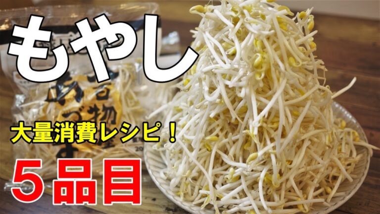 『もやしレシピ５選！』【もやし大量消費】給料日前の救世主レシピ！