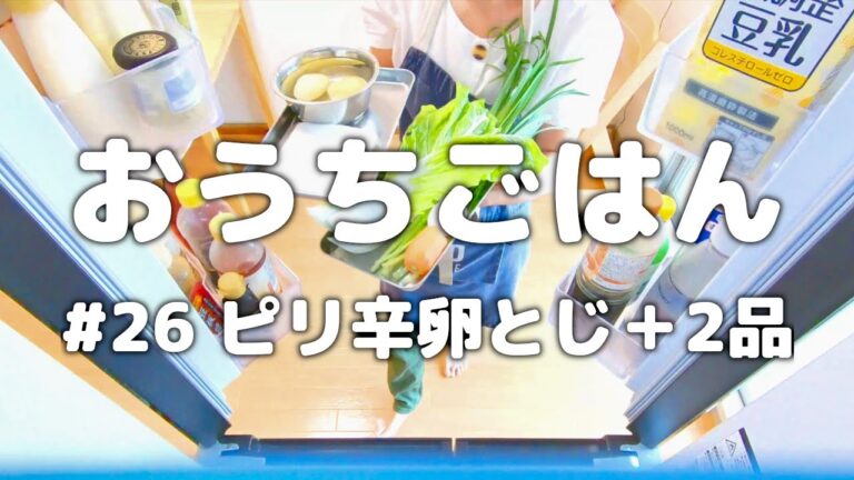[ おうちごはん ] 豚こまレシピ｜豚肉のピリ辛卵とじ｜はんぺんいももち｜豆もやしスープ｜栄養満点｜節約献立｜3人暮らし