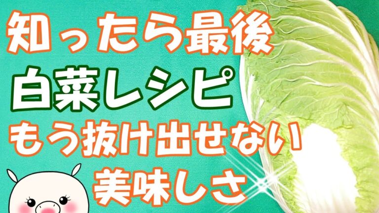 白菜レシピ6品紹介！白菜が足りないよ～と、思うよ！！