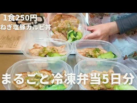【1食250円】【ねぎ塩豚カルビ丼】5日分の作り置き弁当 | 節約＆時短にも🙆🏻‍♀️ | まるごと冷凍 | ズボラ弁当 | 超簡単30分