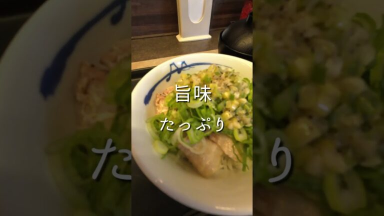 松屋の『ネギ塩豚カルビ丼』と『豚カルビ焼肉定食』を同時に食べる【4K】