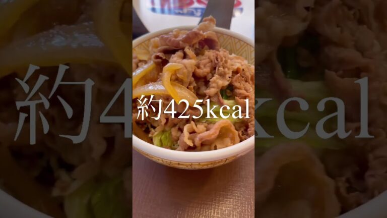 SNSで話題！暑い日にすき家の野菜ましましメニュー！牛丼ライト！