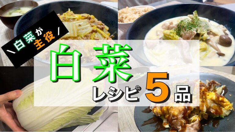 白菜レシピ5品！白菜を制するものがこの冬を制する【簡単料理】