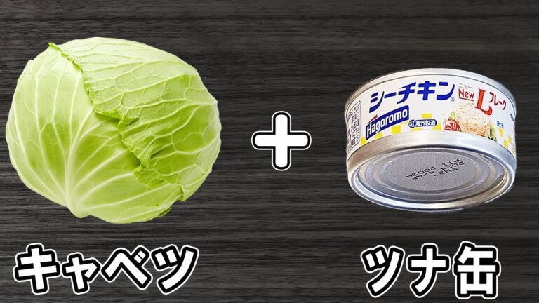 【キャベツとツナ缶のサラダ】材料2つだけの簡単レシピ！調味料和えれば出来上がり！冷めても美味しいおかずの作り方/キャベツレシピ/ツナ缶レシピ/作り置きレシピ【あさごはんチャンネル】