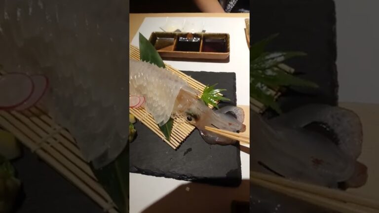 【高級イカ】イカが攻撃する瞬間