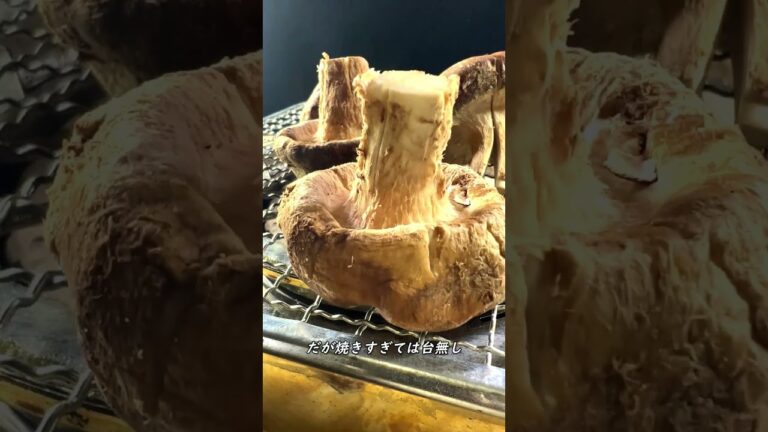 もっと長ネギを消費したい #shorts #椎茸 #leek