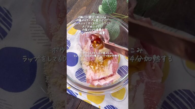 ねぎ塩豚バラ丼