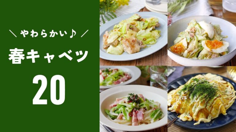【春キャベツレシピ20選】サラダや主菜などレシピ色々！今食べたい♪｜macaroni（マカロニ）