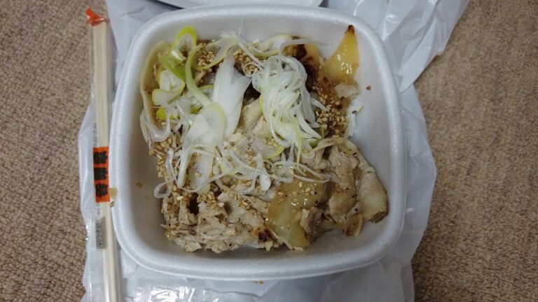 テイクアウトで吉野家の「ねぎ塩豚丼」を食べました！