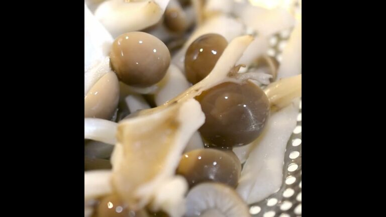 小松菜とキノコの和え物を1分の動画にしてみました。【あんしんごはん料理ch】#Shorts