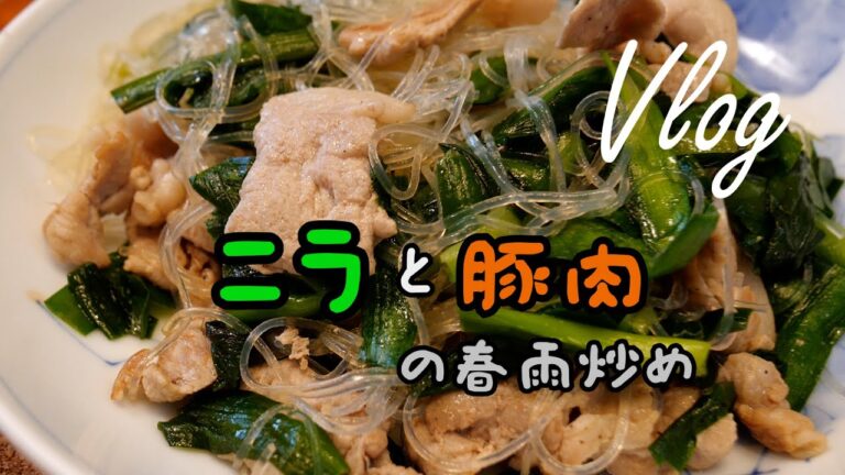 【Vlog#30】ニラと豚肉の春雨炒めの作り方