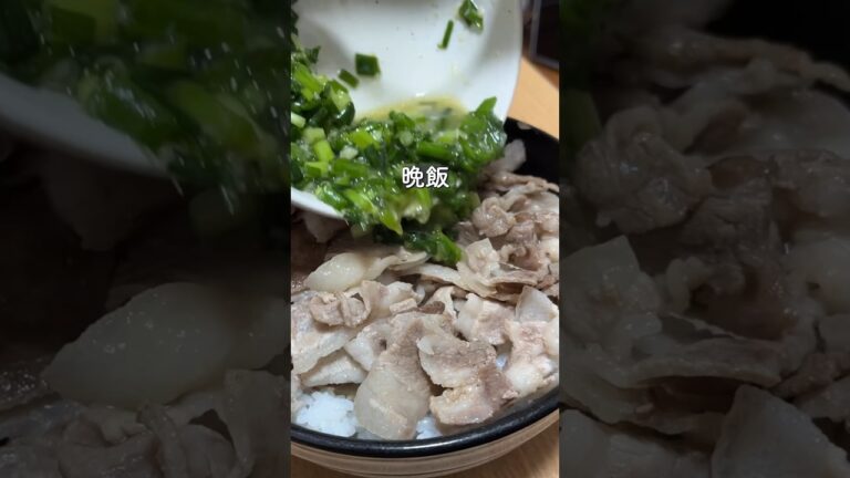 ネギ塩豚丼【36歳東大５度落ちフリーター】TAWASHI#shorts