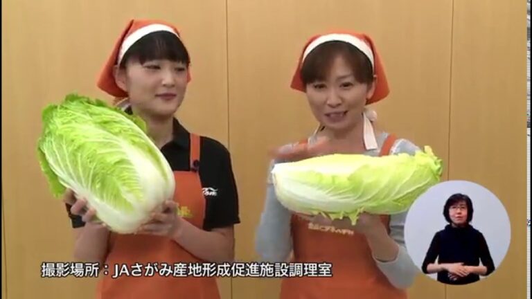 白菜のまんぷくピリ辛炒め（藤沢産食材：白菜）