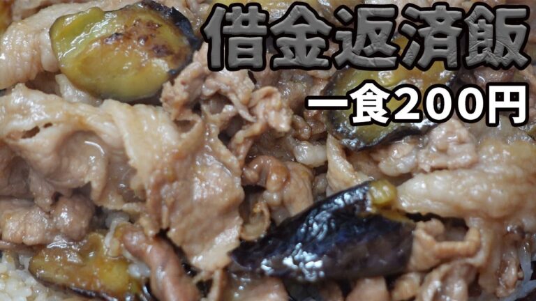 不可解なほど美味い！豚こまナス丼【バシャウマ借金返済飯】