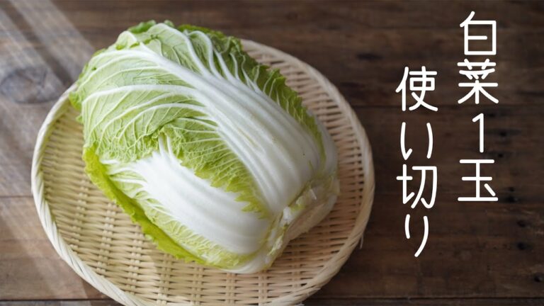【大量消費】白菜1玉使い切る！簡単レシピ４品＋１品【作り置き】