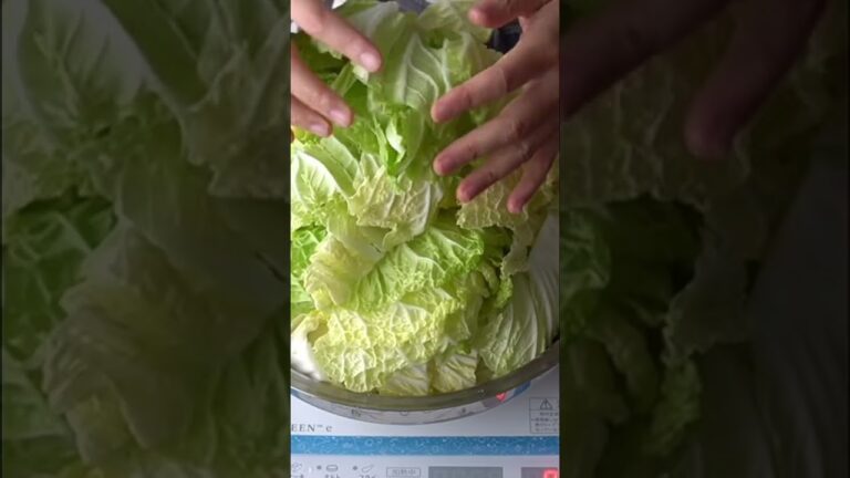 白菜大量消費！トロトロ白菜をつけだれで♪まるごと鶏白菜鍋　#202 詳しい作り方はコメント欄より