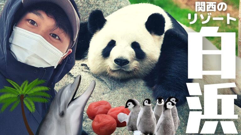 関西のハワイ！南紀白浜｜パンダに梅干しにビーチに。