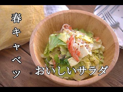 【春キャベツレシピ】酸味が苦手な方でも食べやすい！春キャベツのハニー粒マスタードサラダの作り方