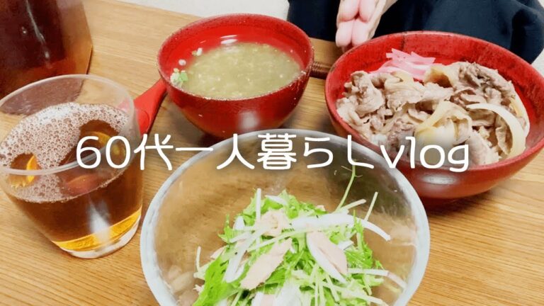 【60代一人暮らしの生活】ズボラに好きなことをして過ごす1人暮らしの日常【vlog】#22