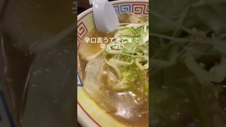 辛口白菜ラーメン/札幌中央区「餃子と麺いせのじょう」