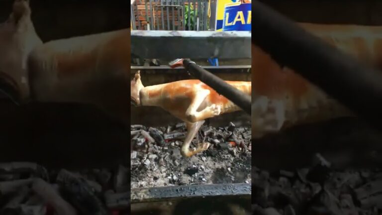 Amazing 皮パリパリの犬肉