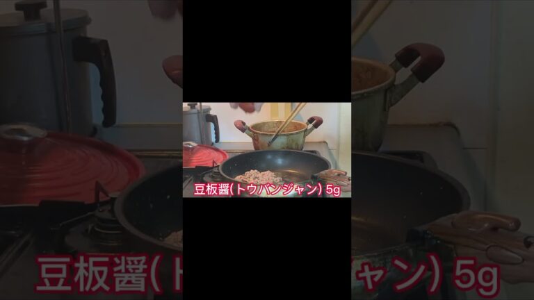 【S117】ひき肉の旨味＆ニラもやし!!【ピリ辛スタミナ丼】2.7倍速🥢　ヒデ