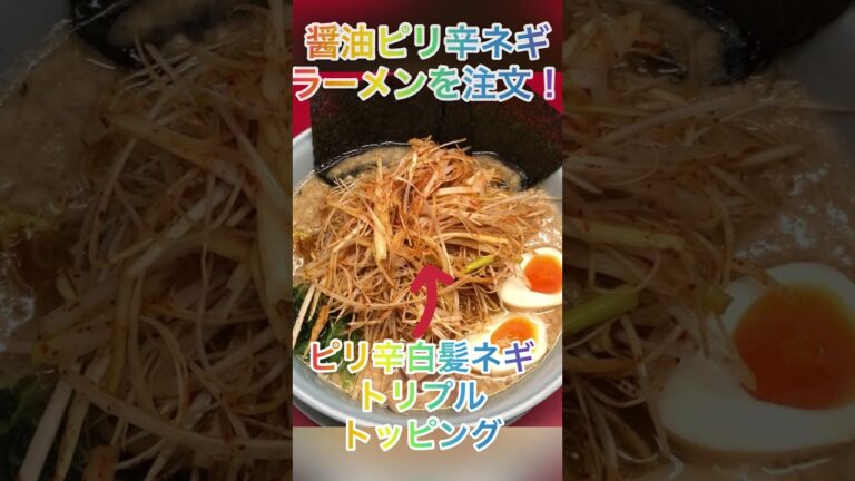 【ラーメン山岡家】醤油ピリ辛ネギラーメンに更に白髪ネギをトリプルネギ盛りの存在感！！【岐阜 ラーメン】