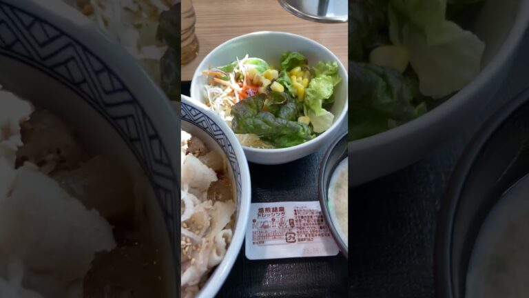 吉野家のねぎ塩豚丼