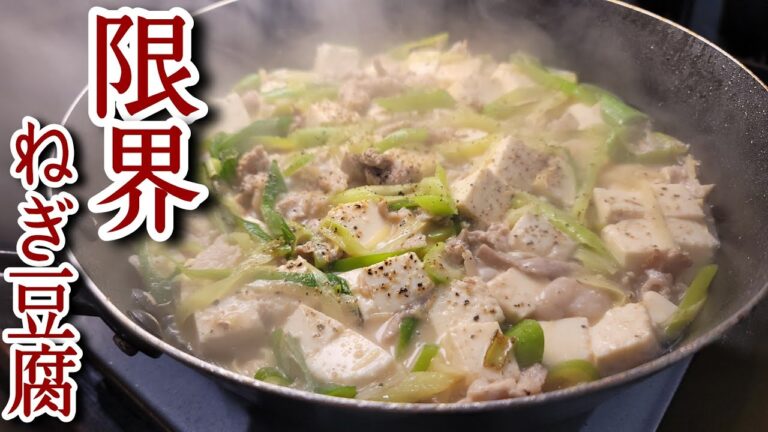 ガチで麻婆豆腐よりウマい!!!ネギを限界まで投与した【限界ねぎ豆腐】