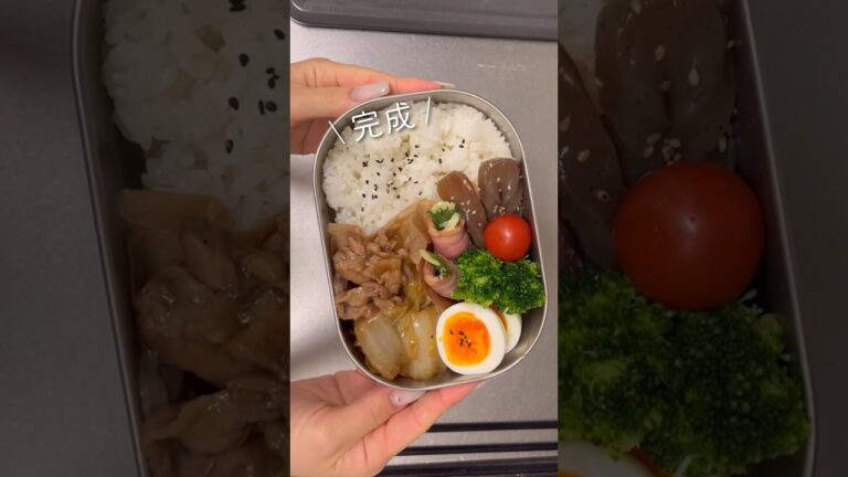 【24歳同棲彼へのお弁当】豚と白菜のうま煮弁当 #同棲ご飯 #毎日弁当