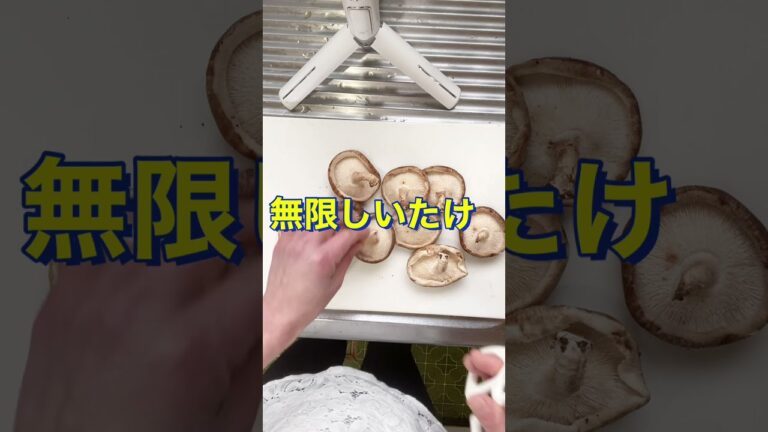 いくらでも食べれちゃう😍【レンジで簡単❗無限しいたけ】#Shorts #ひめりんご
