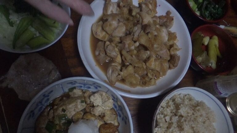 雷豆腐と鶏肉のおろしポン酢子供に大好評☆