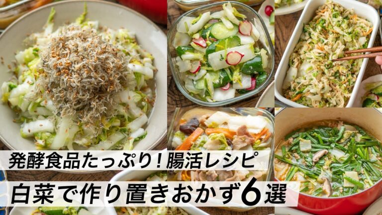 【腸活作り置き#10】白菜を美味しく使い切り！簡単レシピ6品｜子どもに人気のメニュー｜塩麹と発酵食品でヘルシー献立・夕食