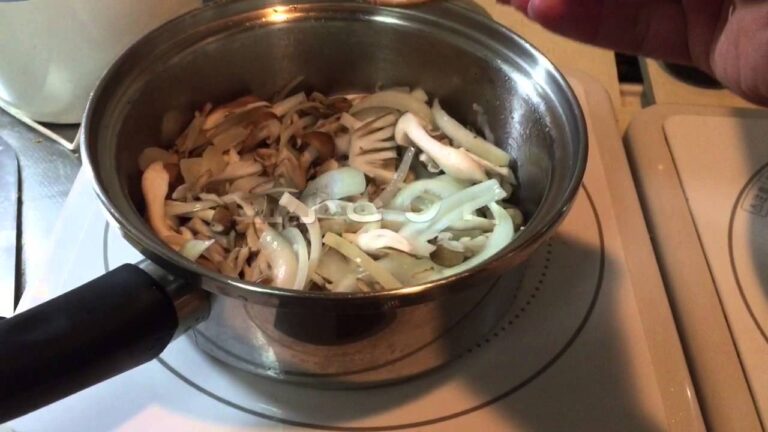 絶品きのこソースの粗挽き煮込みハンバーグ