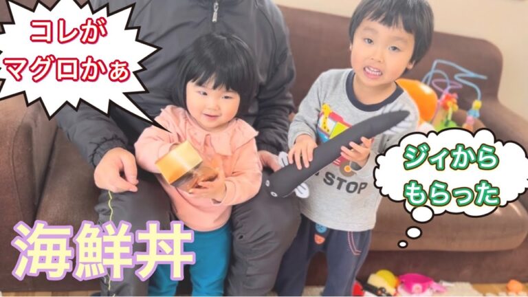 じいちゃんの土産！お家で豪華な海鮮丼！マグロやイクラなど3歳も食べれる丼を作ってみた