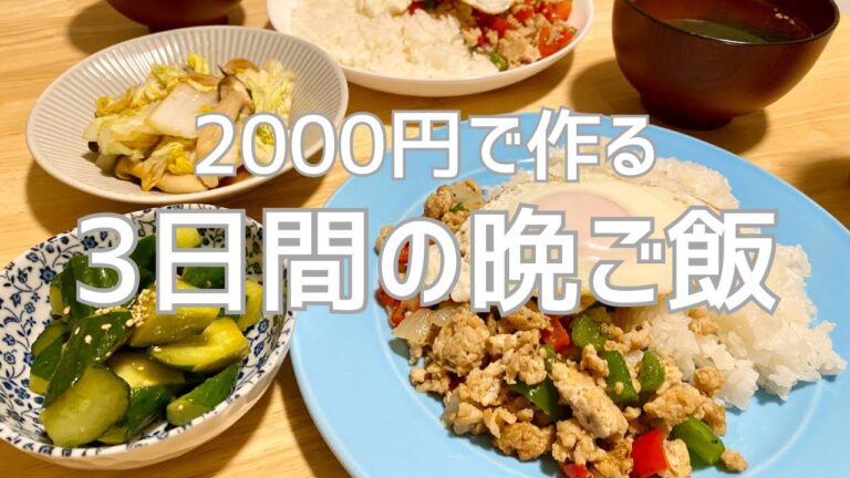 【3日間の晩ご飯】見切り品で作る二人暮らしの晩ご飯 | 節約意識