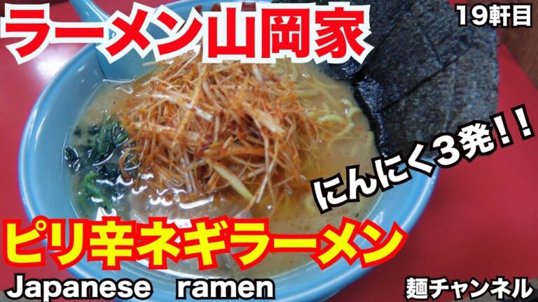 【山岡家②】安定のピリ辛ネギラーメンがうまい！ 色々な食べ方を試してみたいですね！ 【越谷レイクタウン店】 【Ramen noodles/飯テロ】麺チャンネル 第17回