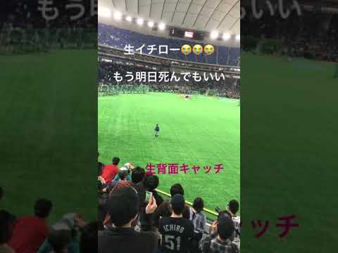 イチロー 背面キャッチ 引退試合 東京ドーム #shorts
