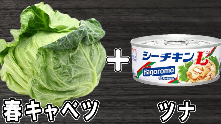 春キャベツの簡単レシピ！無限春キャベツで箸が止まらない！お手軽美味しいおかずの作り方/春キャベツレシピ/作り置きおかず/お弁当おかず【あさごはんチャンネル】