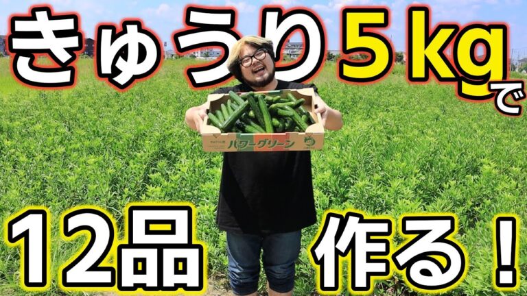 【きゅうりレシピ12選】５kgのきゅうりを大量消費！超簡単なレシピで12品作るぞスペシャル！