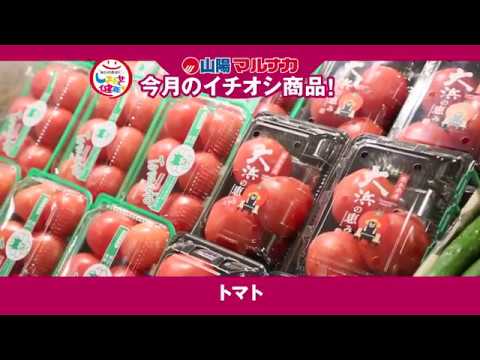 トマトとアボカドのスパニッシュオムレツ