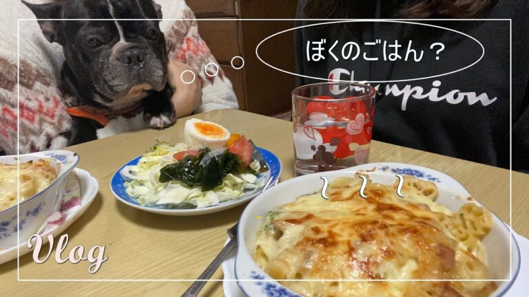 【料理Vlog】マカロニグラタンを姉と食べるだけの日【はなたれ小僧のフレブル大ちゃん登場】