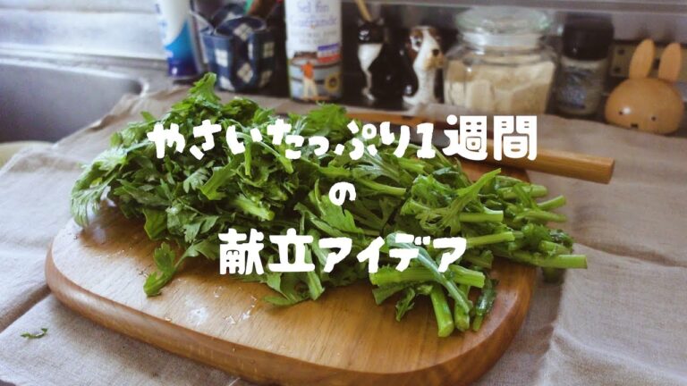 【やさい不足解消✨】5日分の晩ごはんをイッキ見！