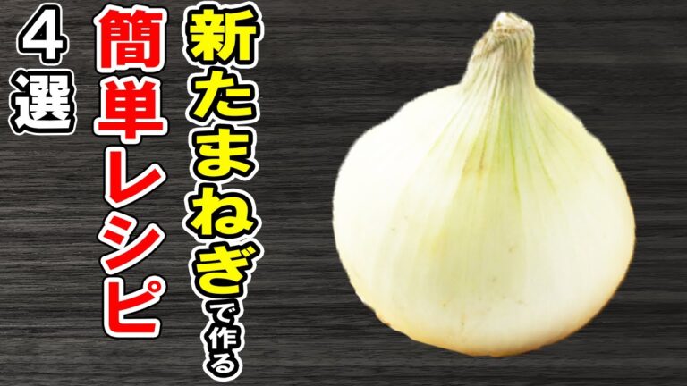 新たまねぎを使ったレシピ4選！ご飯が止まらないおかずの作り方/新たまねぎレシピ/玉ねぎレシピ/作り置きおかず/お弁当おかず【あさごはんチャンネル】