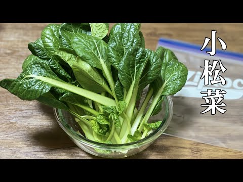 小松菜は冷凍保存できます／レシピ／みそ汁／炒め物／お吸い物／ラーメンスープなど