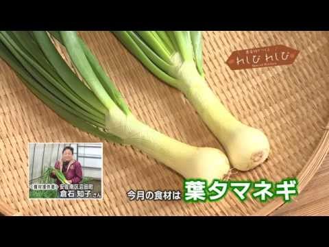 れしぴれしぴ「葉タマネギのチーズチヂミ」
